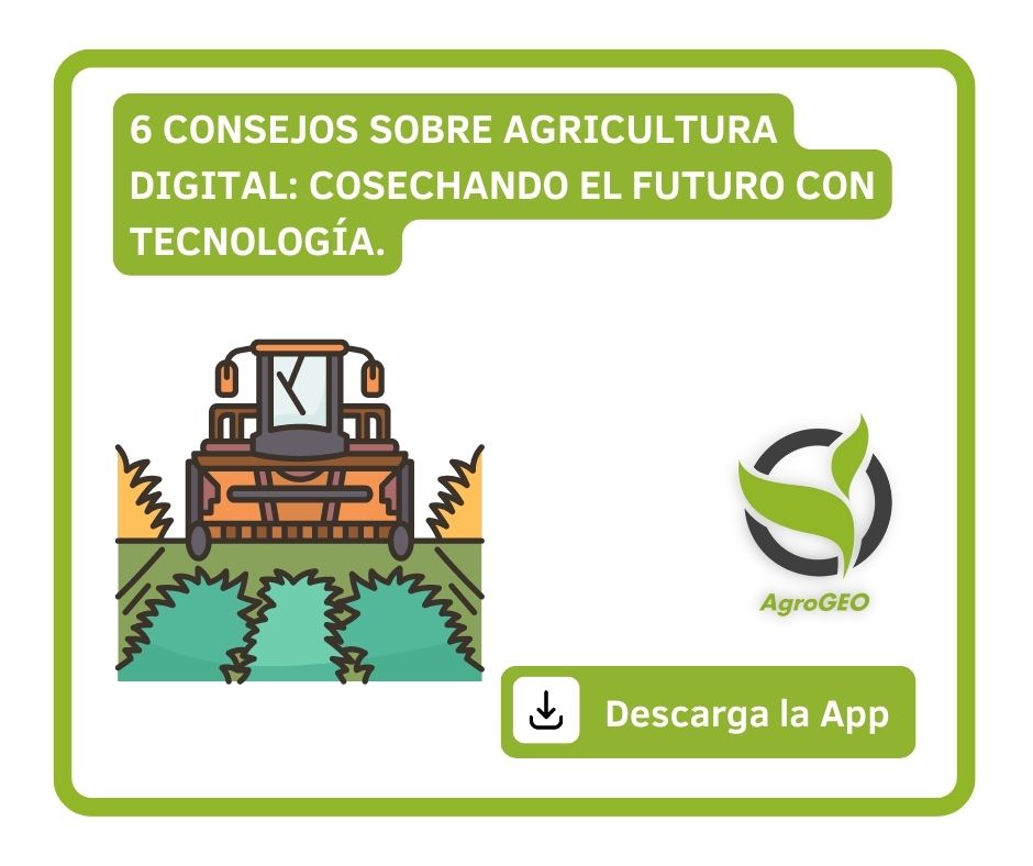 6 Consejos sobre agricultura Digital: cosechando el futuro con tecnología.