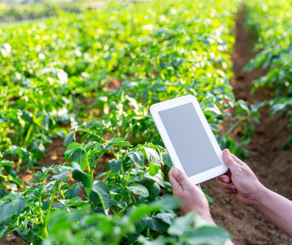 6 Consejos sobre agricultura Digital: cosechando el futuro con tecnología.