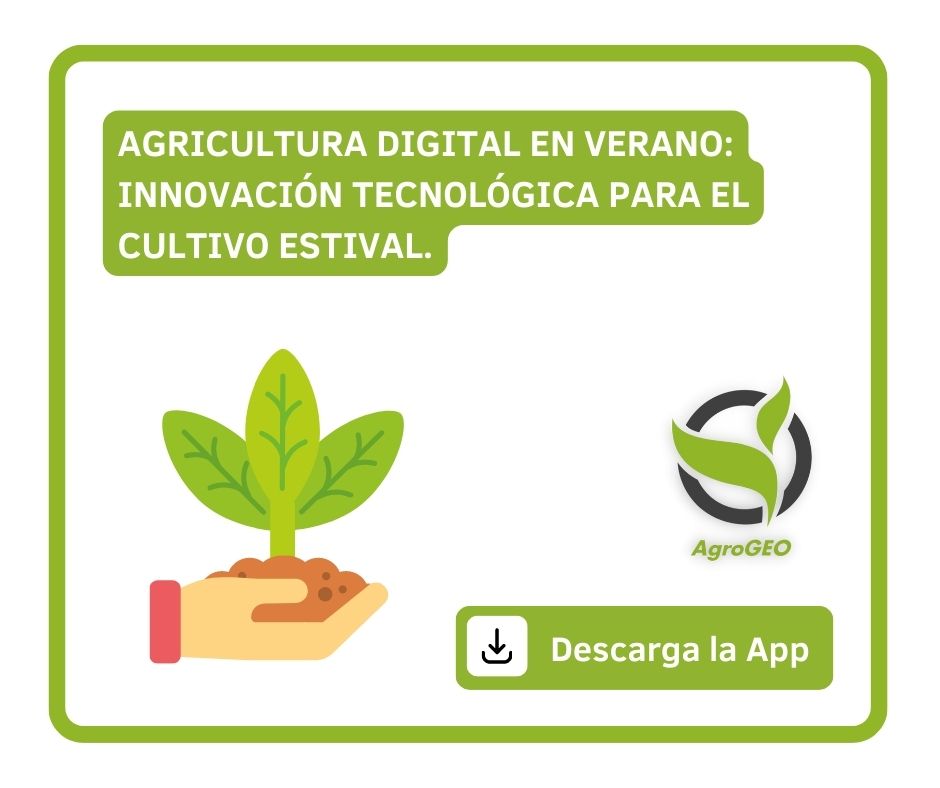Agricultura Digital en Verano: innovación tecnológica para el cultivo estival
