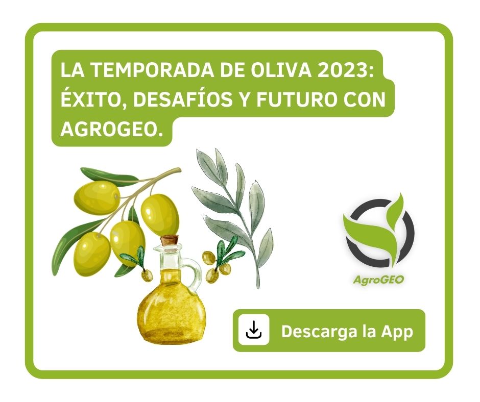 Portada para un blog llamado: La temporada de oliva 2023 éxito, desafíos y futuro con AgroGeo