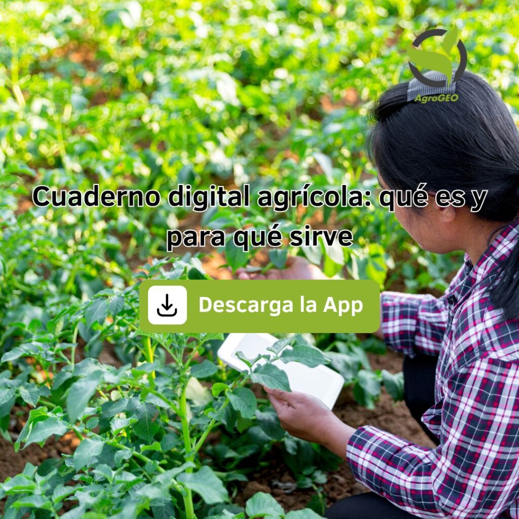 portada para el blog: cuaderno digital agrícola donde sale una chica mirando una planta